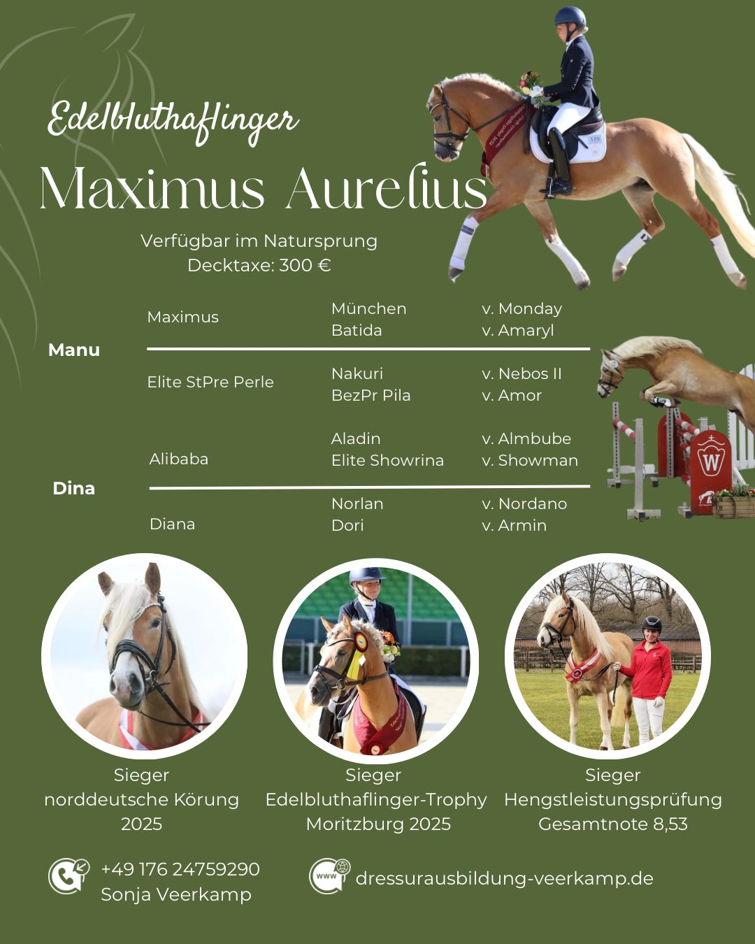 Sonja Veerkamp - Maximus